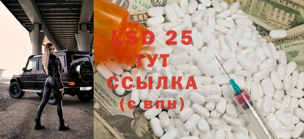 крисы Верея
