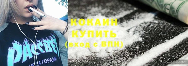 крисы Верея
