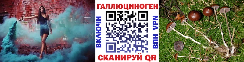 купить наркоту  Ноябрьск  ОМГ ОМГ онион  Псилоцибиновые грибы Magic Shrooms 